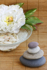pebbles, flower and bowl with water and white pebbles