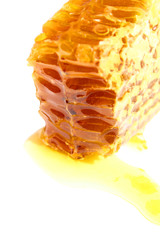 isolated close-up honeycomb