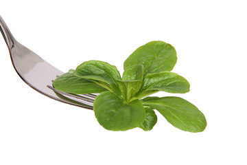 Fork with field salad