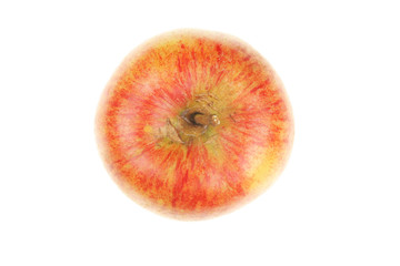Organic apple