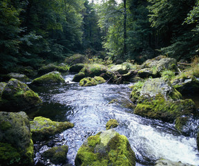 Landschaft_411198