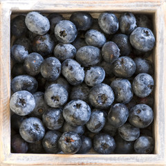 Blaubeeren