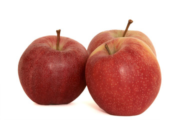 Apfel IV