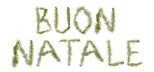 Spruce twigs forming the phrase 'BUON NATALE'