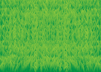 green_grass_horisontal