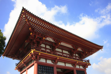 Fototapeta premium 極楽門