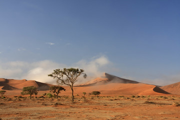 Sossusvlei sand dune national park