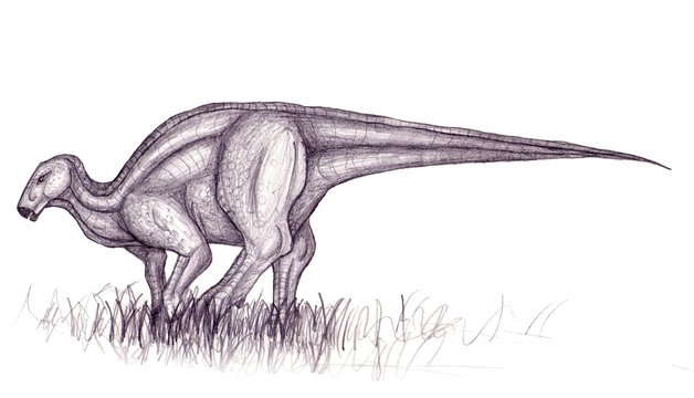 Iguanodon