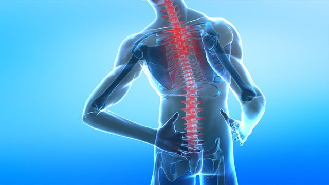 Spread pain in human spine