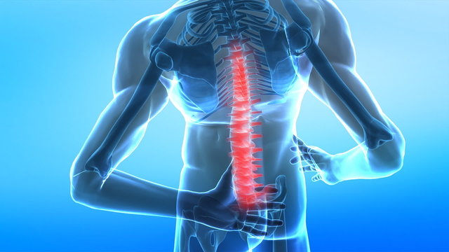 Spread pain in human spine