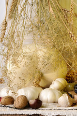 white pumpkin, plants, nuts and garlic isolated