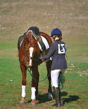 Cavallo e fantino ad una gara equestre