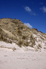 Dünenlandschaft auf Sylt
