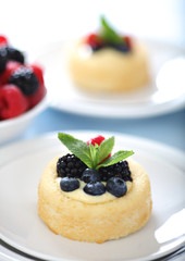 Fruit tart