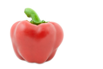 red pepper on white background