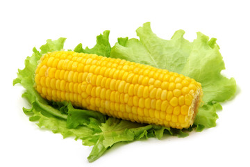boiled corn