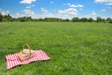 Foto op Plexiglas Picknick picknickomgeving op weide met kopieerruimte