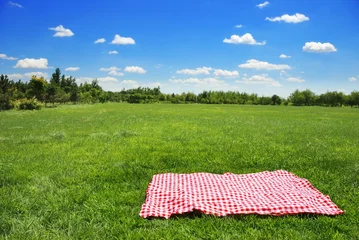 Foto op Plexiglas picknickdoek op weide met kopieerruimte © Li Ding