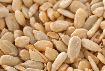 salted sunflower seeds - good for background