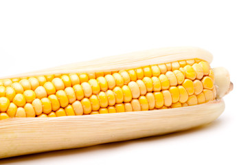 Corn