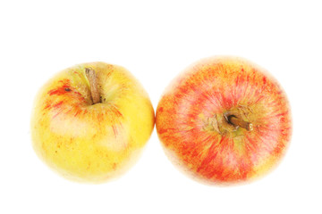 Fototapeta na wymiar Two organic apples