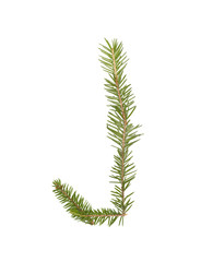 Spruce twigs forming the letter 'J'