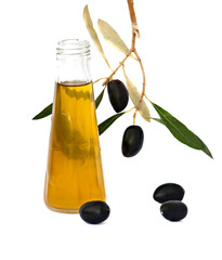 Bottle of olive oil and olive branch isolated on white backgroun