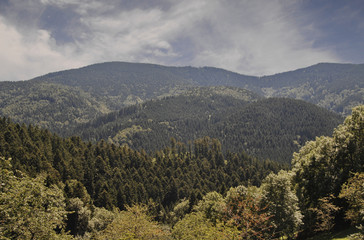 Fototapeta na wymiar Der Schwarzwald