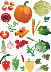 set of ripe vegetables