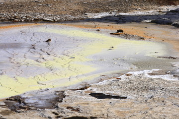 Geothermalgebiet Hveravellir