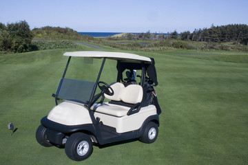 Golf Cart