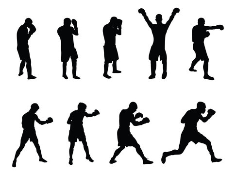 vector image of a selection of boxers