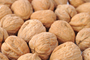 many walnuts close up
