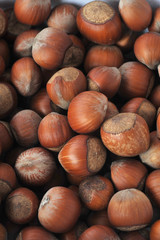 many hazeknuts close up