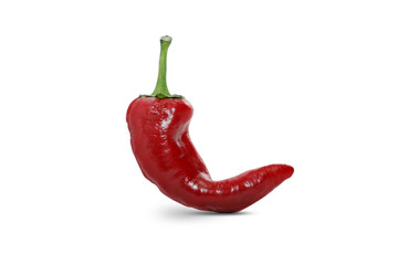 chili pepper on a white background