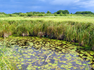 small lake on field