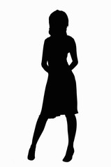 Fototapeta premium シルエット