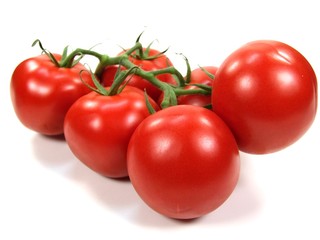 Tomato