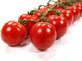 Tomato