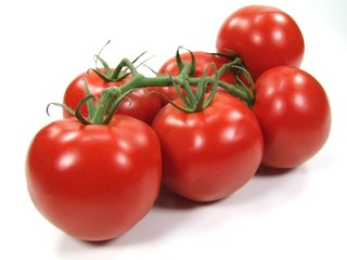 Tomato