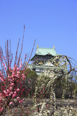 大阪城と梅