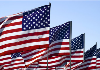 Fototapeta premium United States flags