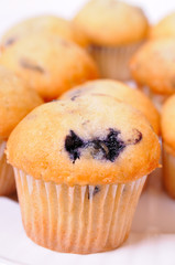 blueberry muffins