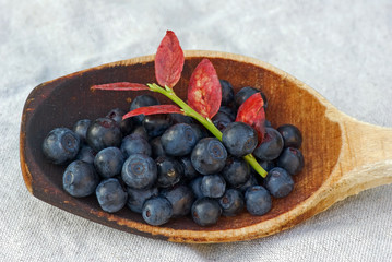 Blueberries