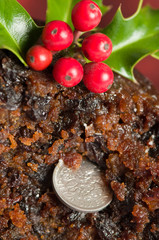 Sixpence In Christmas Pudding