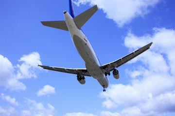 飛行機