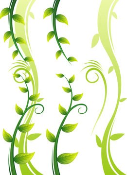 Background material of green leaf
