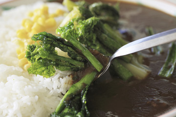 カレー