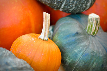 Pumpkin