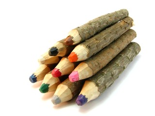 BARK COLOR CRAYONS